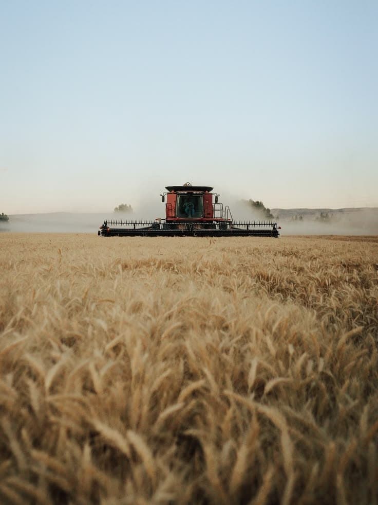 Agriculture